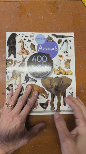 Animals reusable sticker book