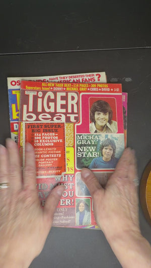 Tiger Beat Super Big Issue magazines