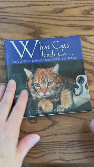 What Cats Teach Us