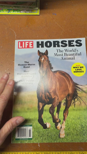 Horses - Life magazine