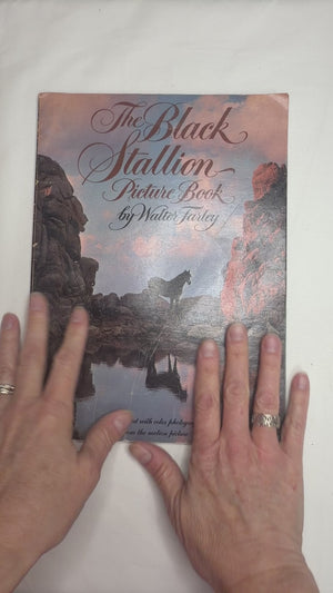 The Black Stallion Picture Book