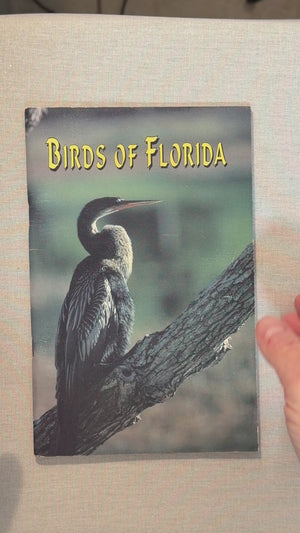 Birds of Florida