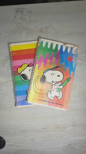 Snoopy notebooks - set of 2