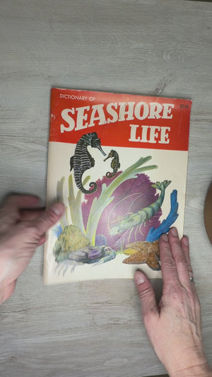 Dictionary of Seashore Life
