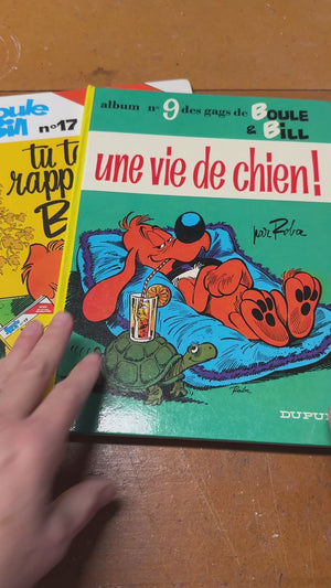 Boule et Bill books - in French