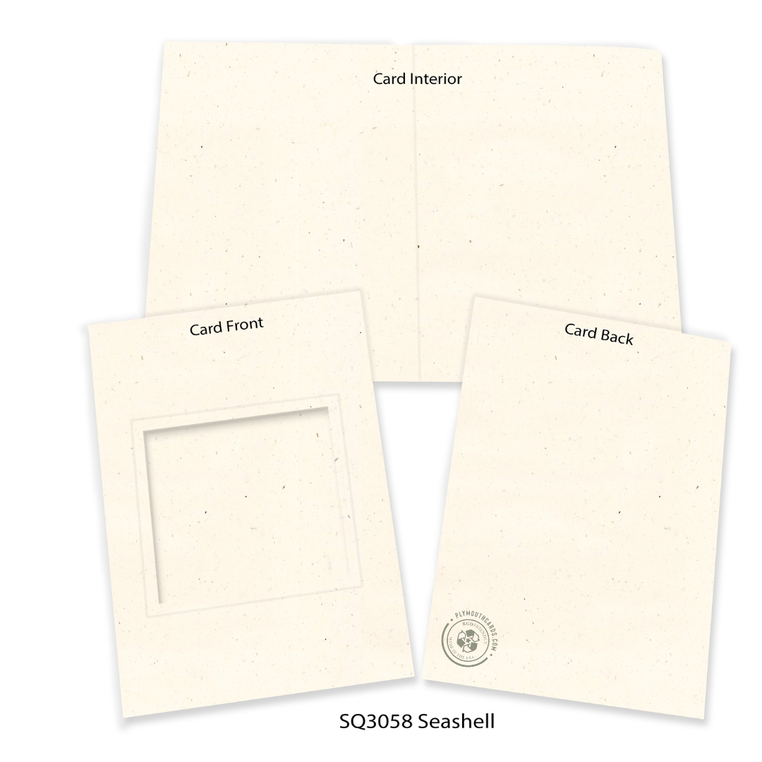 Seashell #NS3058- 4x4 image