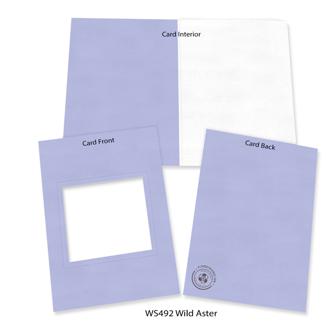 Wild Aster #WS492 - 4x4 image