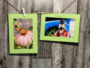Lime #E215-Photo note cards-Plymouth Cards