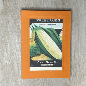 Sweet Corn-Greetings from the Past-Plymouth Cards