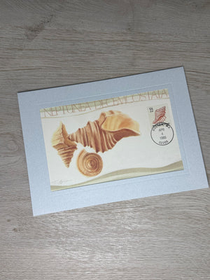 FDC - Seashells 22 cent stamp card-Plymouth Cards