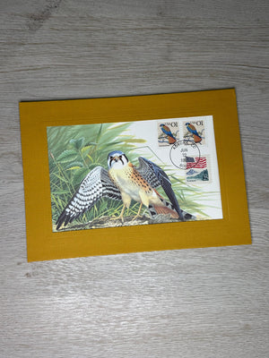 FDC - American Kestrel 1 cent stamp card-Plymouth Cards