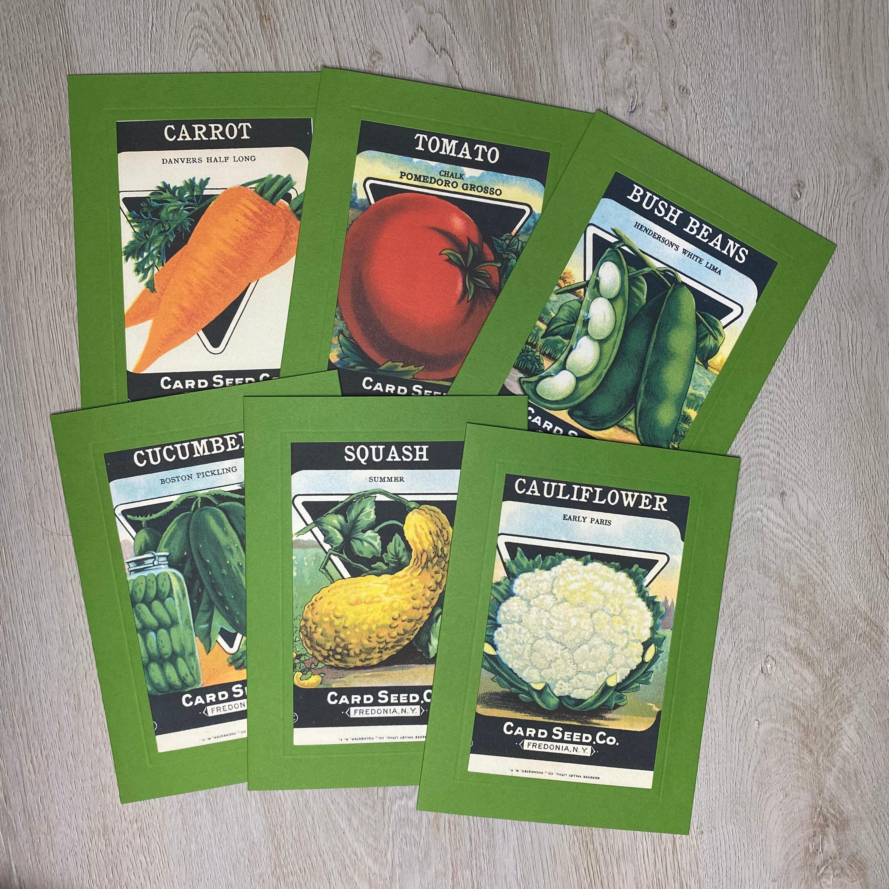 garden seeds sampler pack spiritfarer Seed Packet sampler set Cactus / 6 cards/envelopes