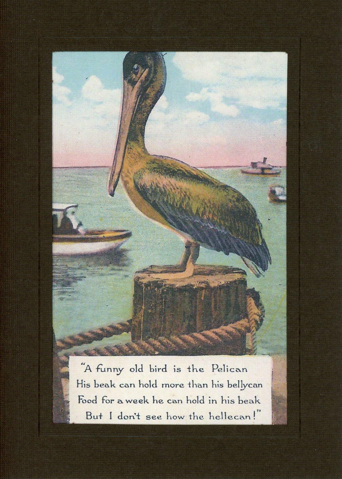Pelican Hellecan-Greetings from the Past-Plymouth Cards