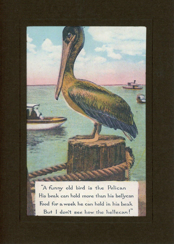 Pelican Hellecan - Plymouth Cards