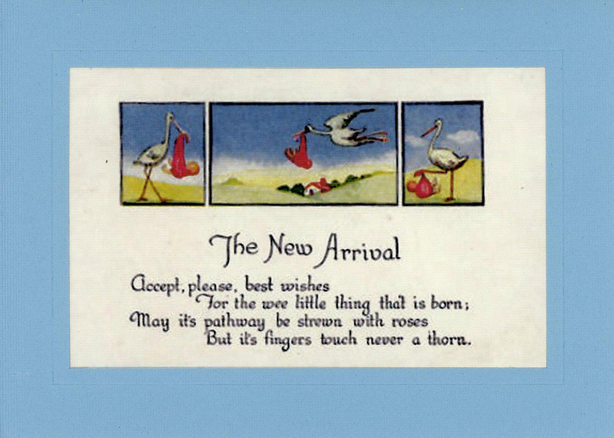 The New Arrival-Greetings from the Past-Plymouth Cards