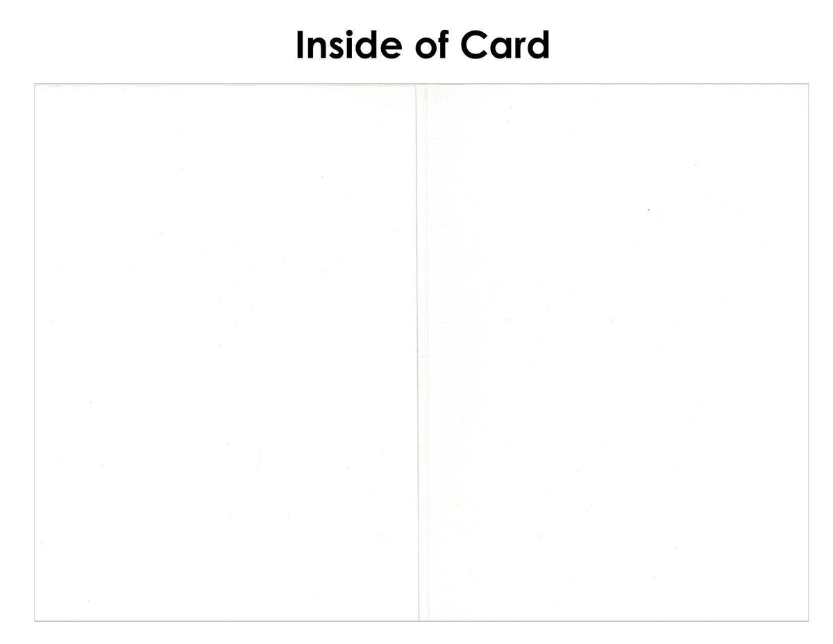 Cream - Wallet Photo Insert Cards-Photo note cards-Plymouth Cards