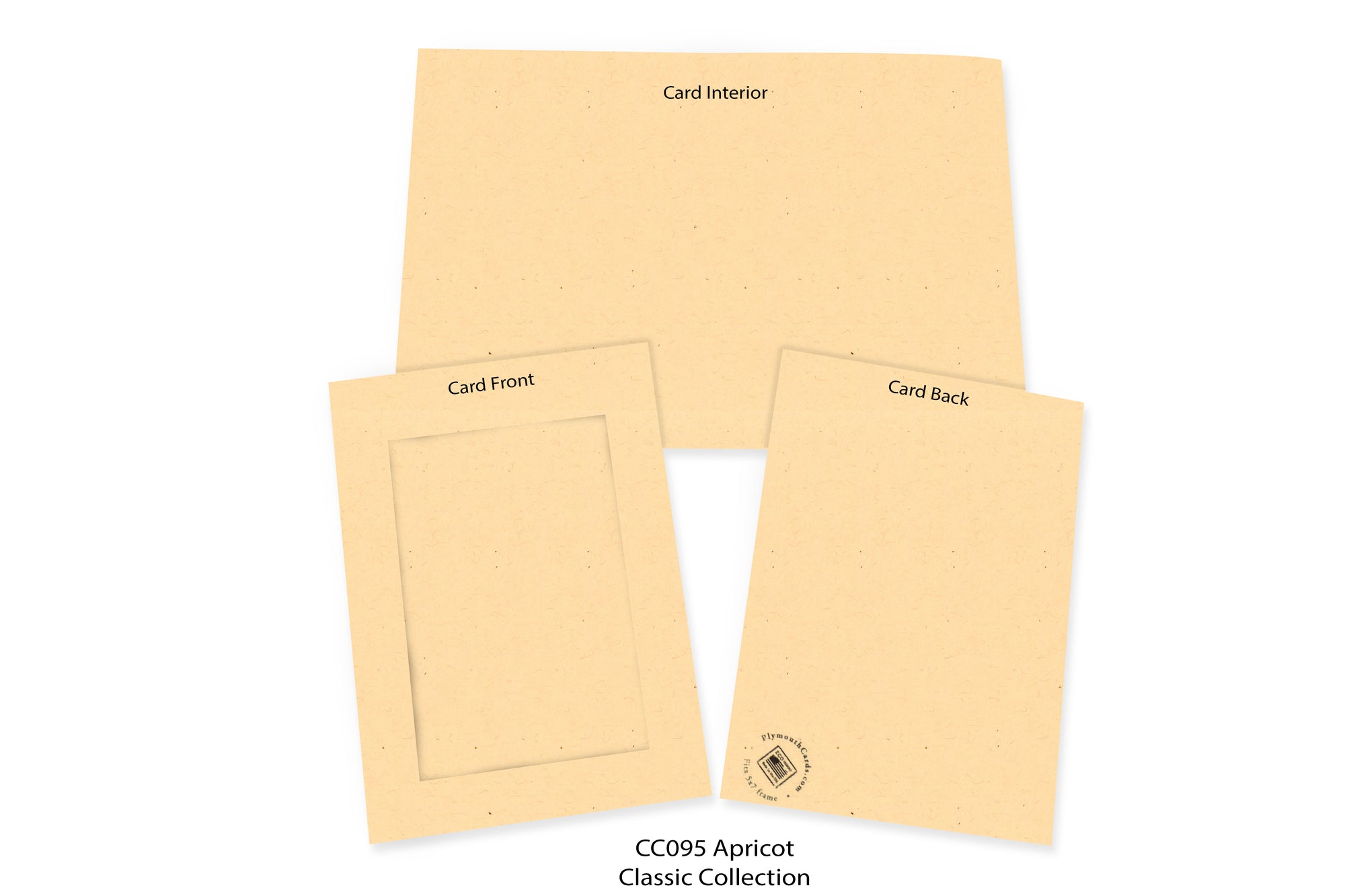 Apricot Photo Insert Note Cards - #CC095 - Plymouth Cards