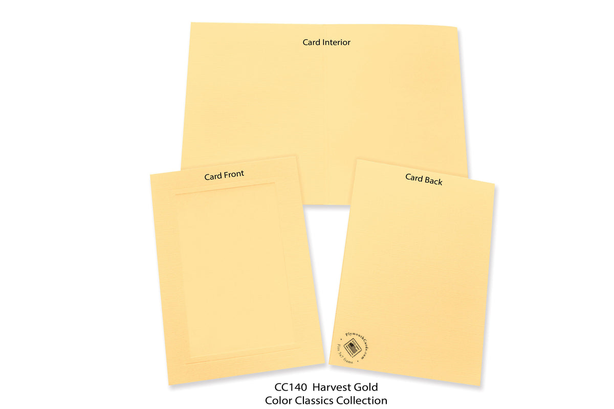 Harvest Gold #CC140-Photo note cards-Plymouth Cards