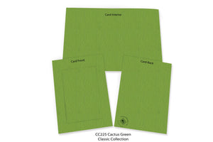 Cactus #CC225-Photo note cards-Plymouth Cards