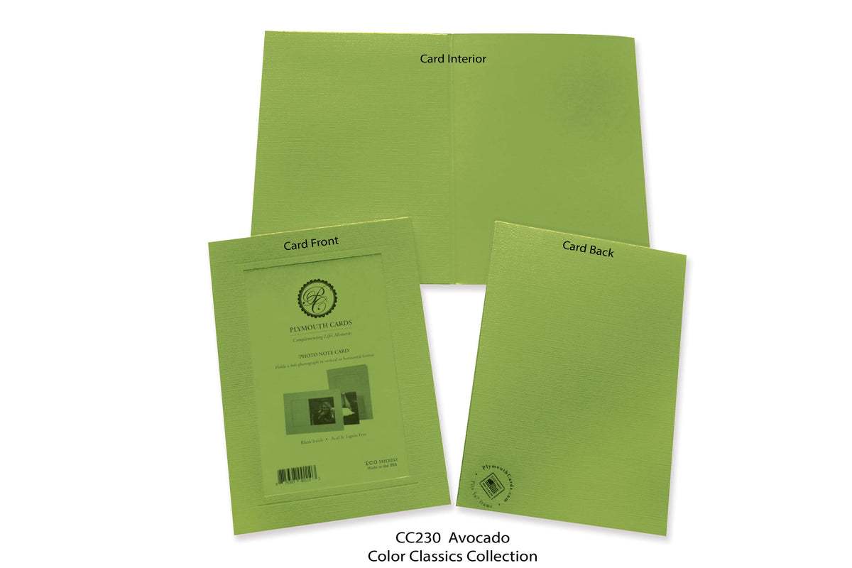 Avocado #CC230-Photo note cards-Plymouth Cards