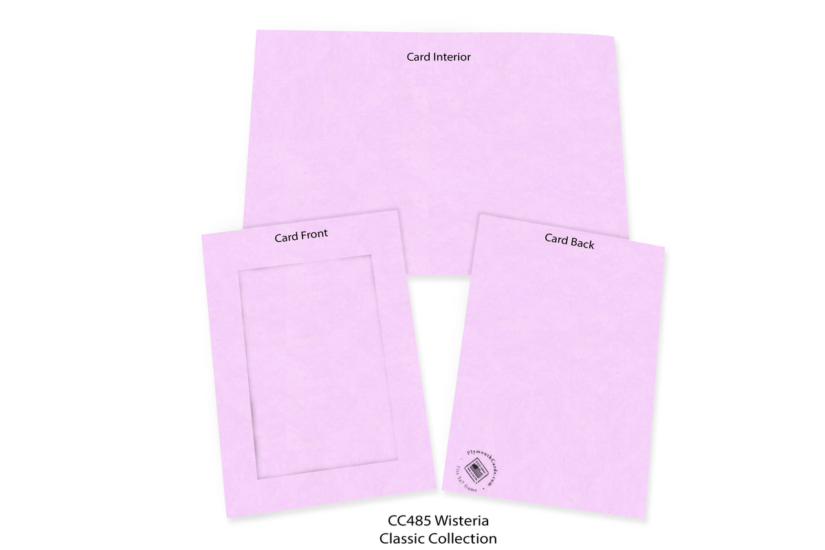 Wisteria #CC485-Photo note cards-Plymouth Cards