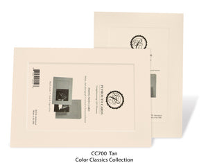 Insert Note Cards - 10 packs - Choose color-Photo note cards-Plymouth Cards