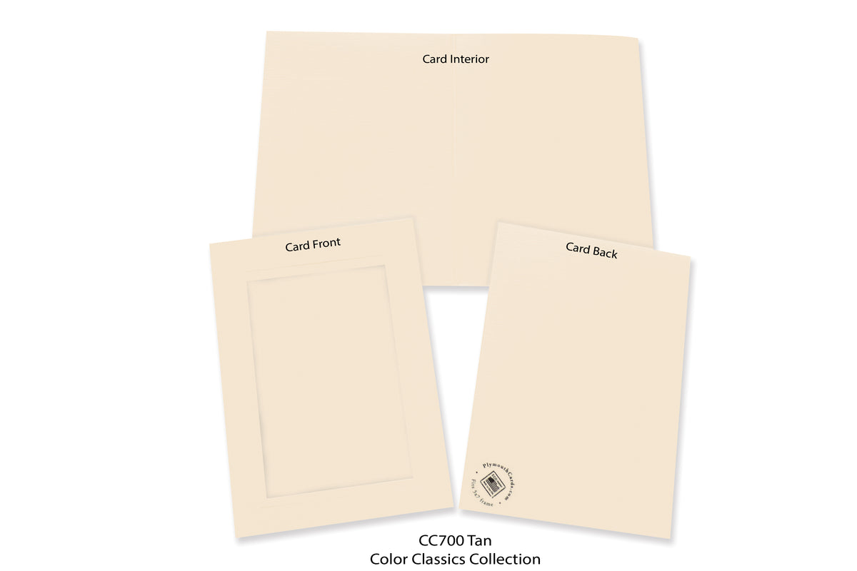 Summer-Sampler-Plymouth Cards