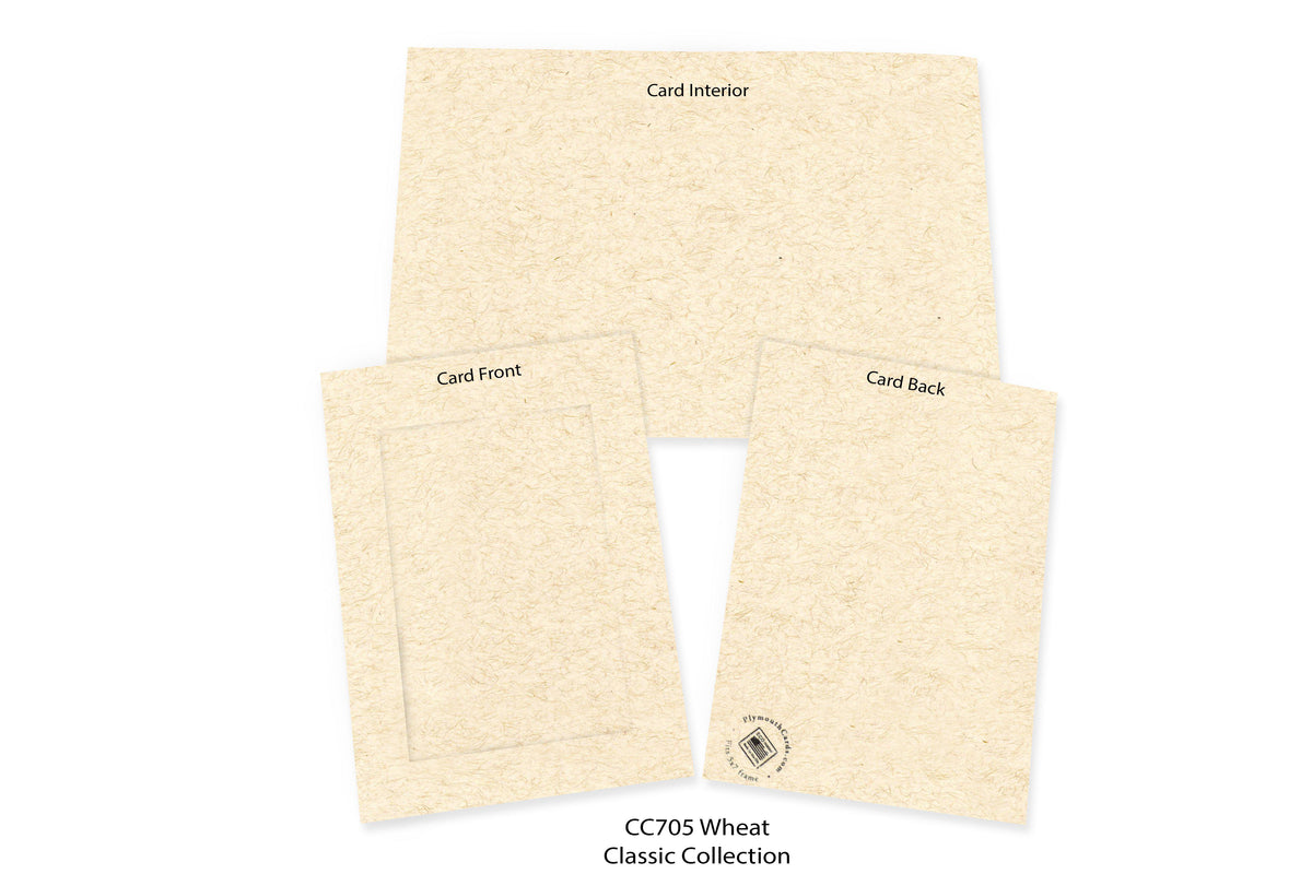 Wheat #CC705-Photo note cards-Plymouth Cards