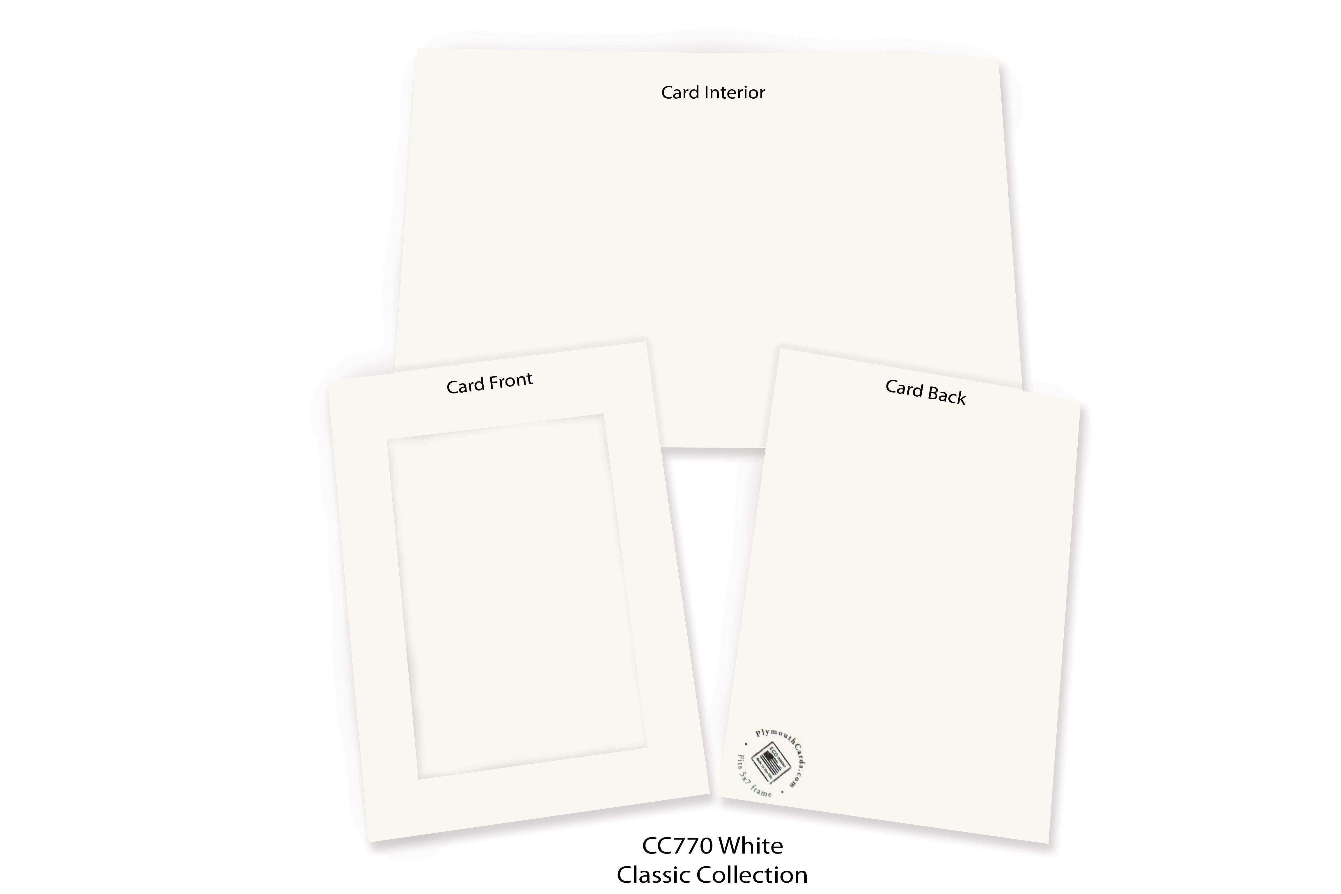 White Photo Insert Note Cards #CC770 - Plymouth Cards