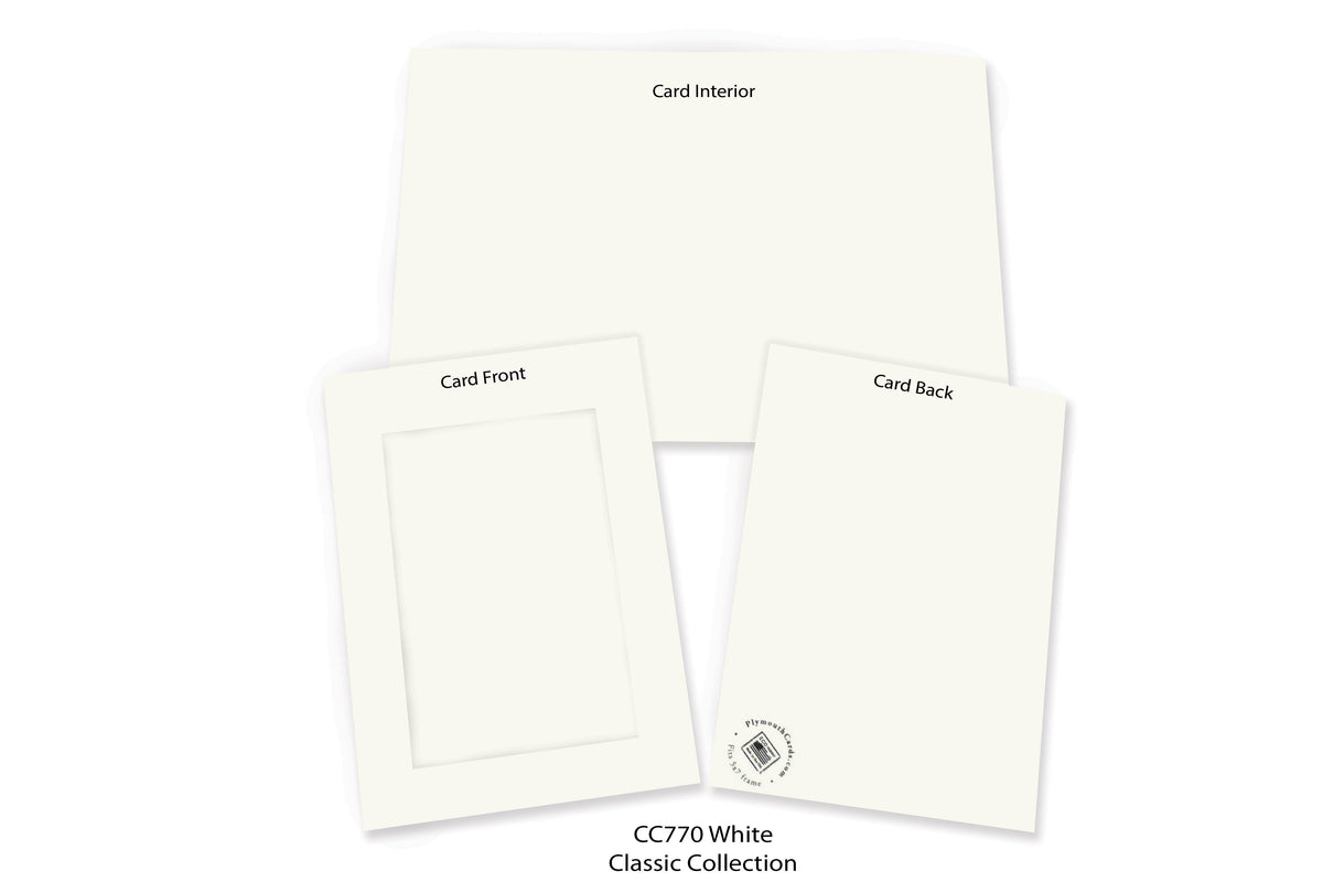 White #CC770-Photo note cards-Plymouth Cards