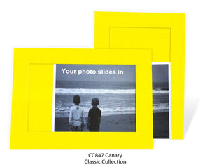 Canary #CC847-Photo note cards-Plymouth Cards
