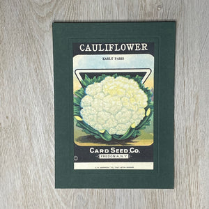 Cauliflower-Greetings from the Past-Plymouth Cards