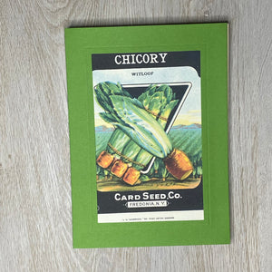 Chicory-Plymouth Cards