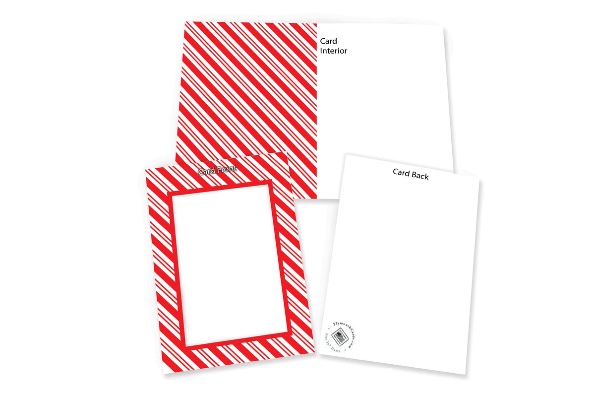 Candy Cane Photo Insert Card | Plymouth Cards