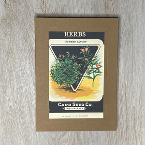 Herbs - Summer Savory-Greetings from the Past-Plymouth Cards