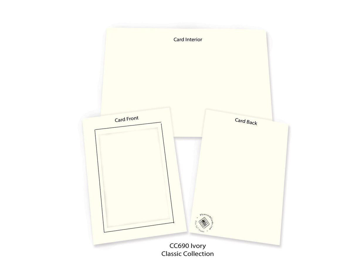 Ivory (with black ruled border) #CC690-B-Photo note cards-Plymouth Cards