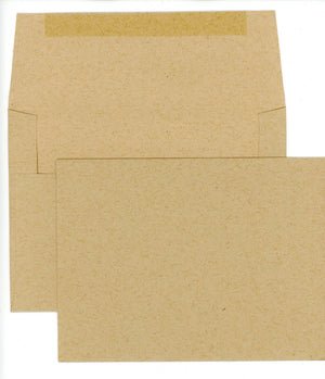 Envelopes (10 to 100)-Envelopes-Plymouth Cards
