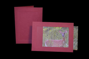 Photo printing & insertion-Photo note cards-Plymouth Cards