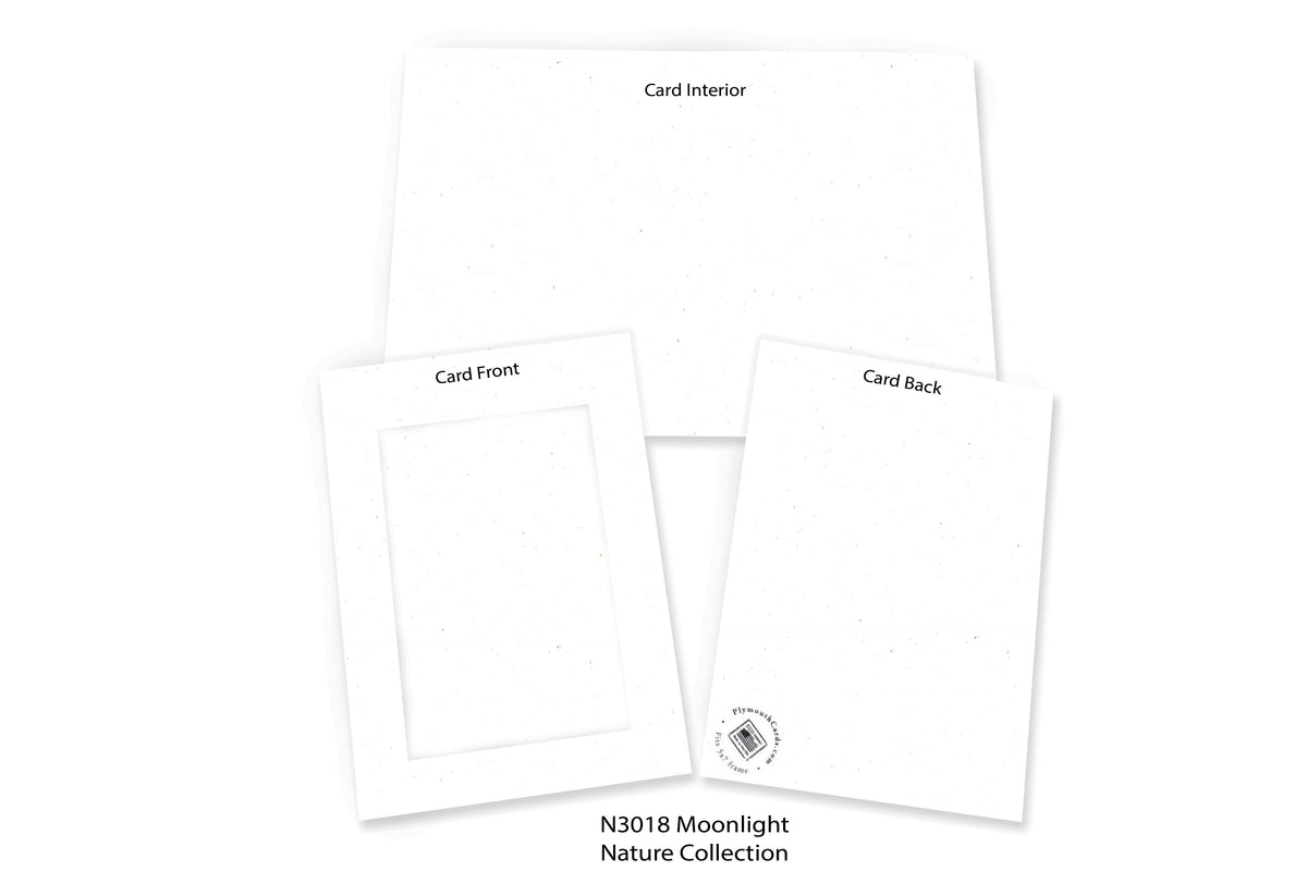 200ct Neutral Blank Cards