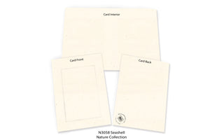 Neutral-Sampler-Plymouth Cards