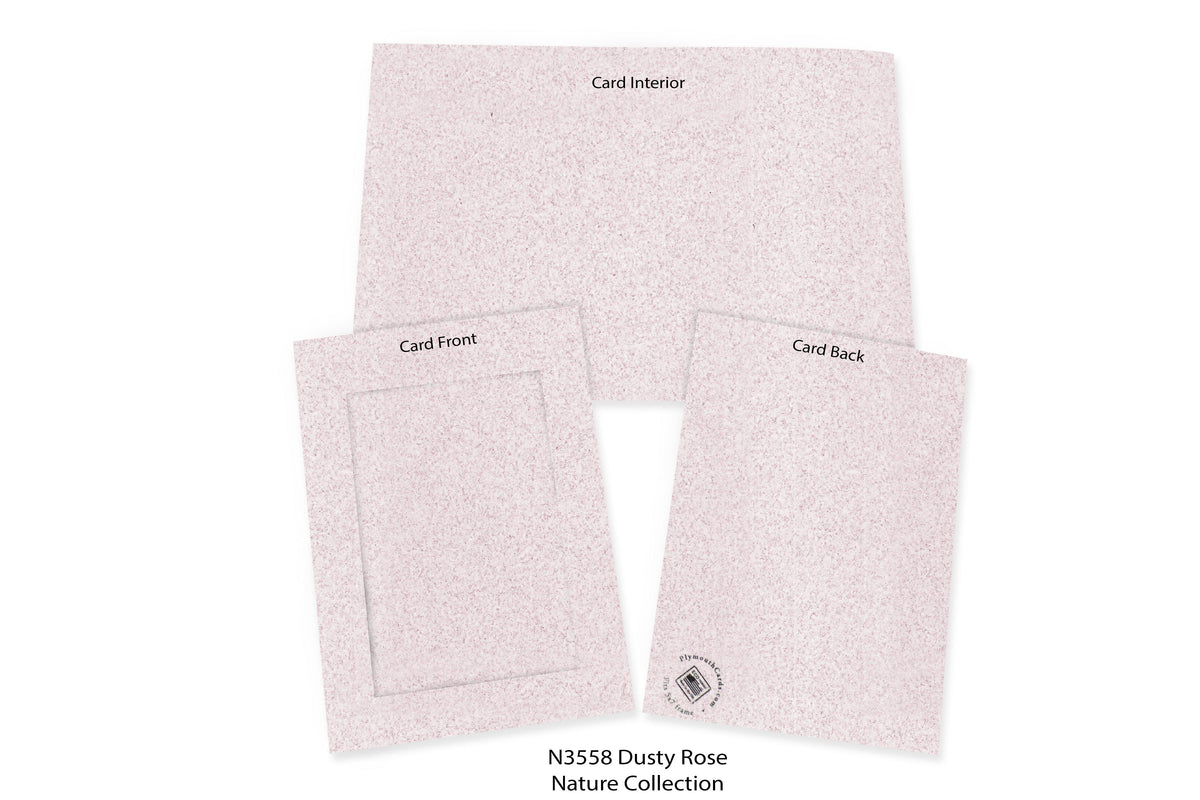 Dusty Rose #N3558-Photo note cards-Plymouth Cards