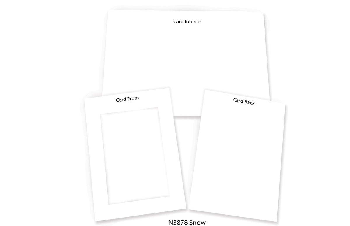 Snow #N3878 (no logo on back)-Photo note cards-Plymouth Cards