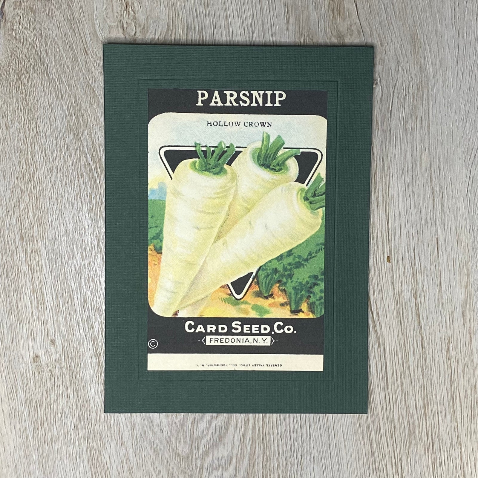 Parsnip-Greetings from the Past-Plymouth Cards