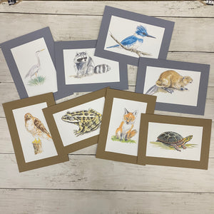 Watershed Wildlife set #2-Greeting Card-Plymouth Cards
