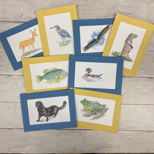 Watershed Wildlife set #1-Greeting Card-Plymouth Cards