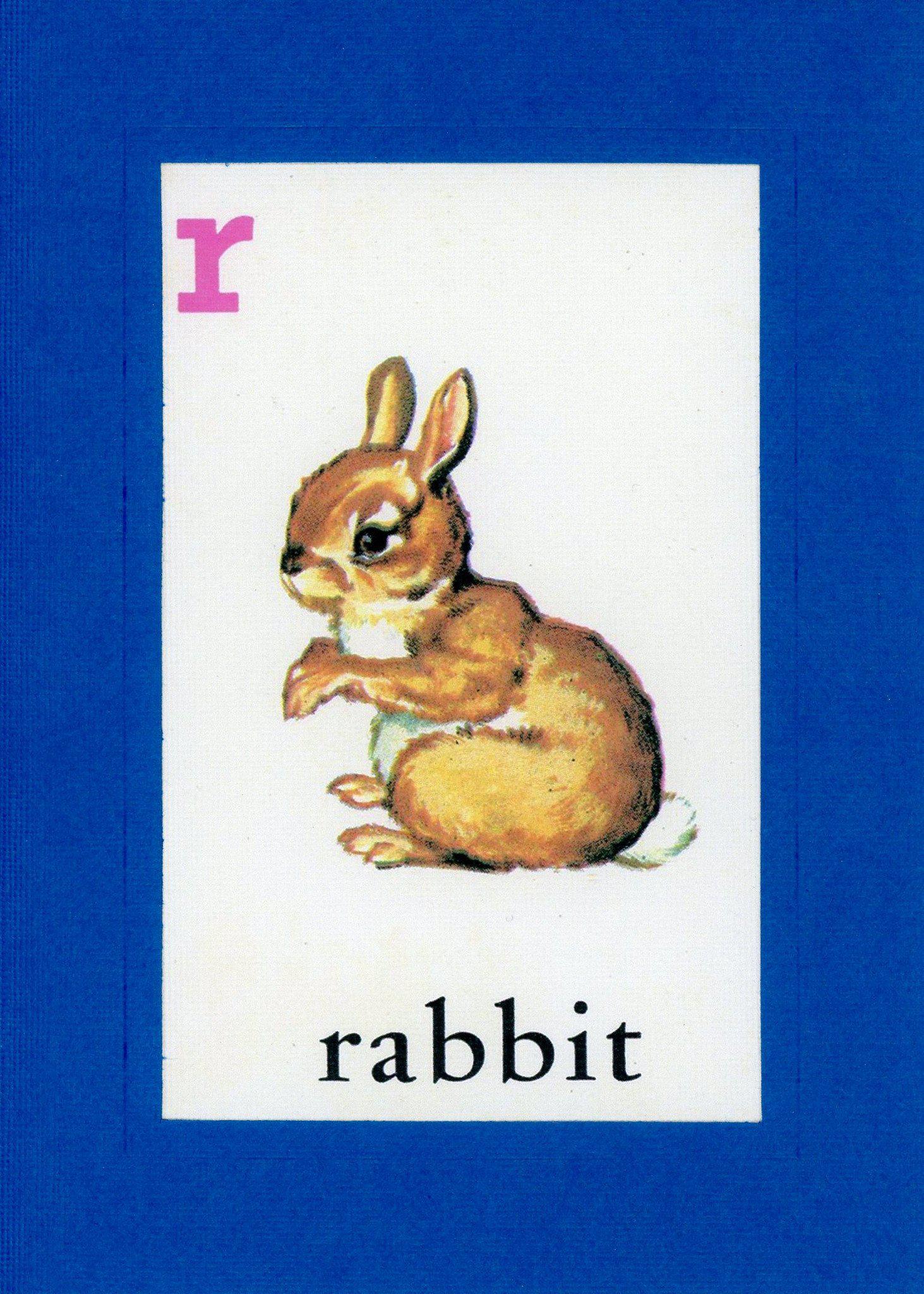 R is for Rabbit - Plymouth Cards