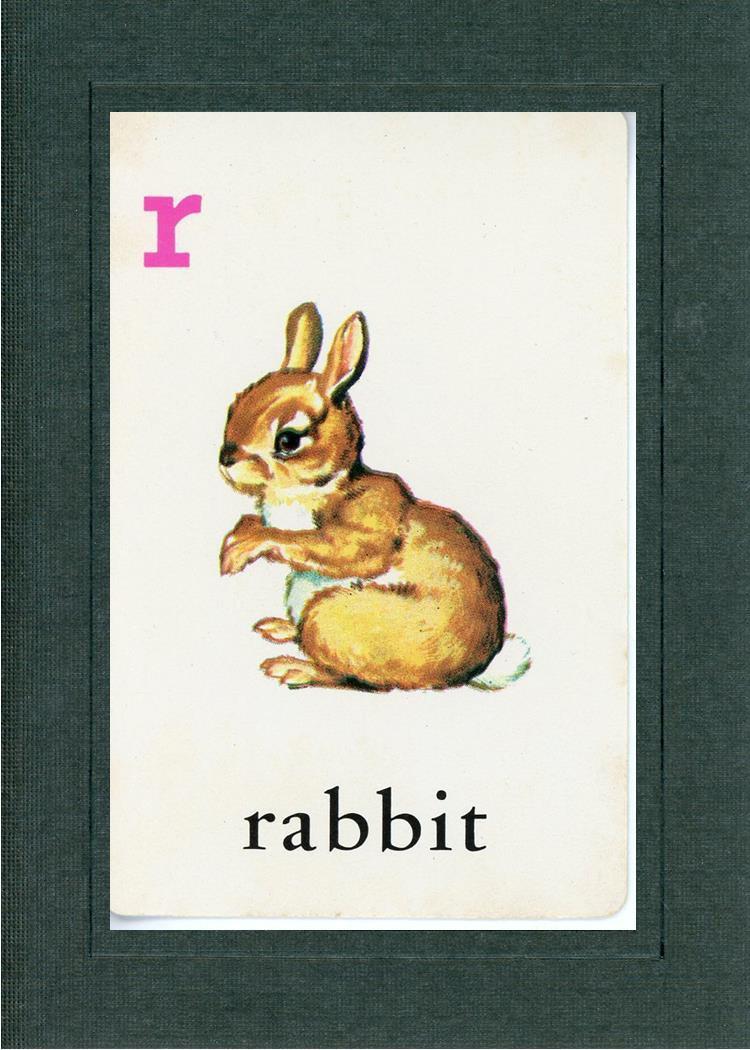 R is for Rabbit - Plymouth Cards