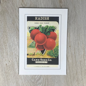 Radish-Greetings from the Past-Plymouth Cards