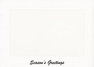 Season's Greetings-Photo note cards-Plymouth Cards