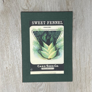 Sweet Fennel-Greetings from the Past-Plymouth Cards